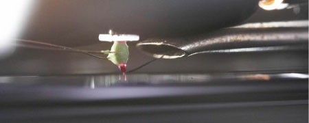 A cutting head in action